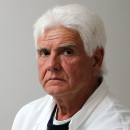 Gori Vittorugo