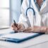 Medicina interna, medicina integrata e Fitoterapia Psicosomatica®: antico, moderno e natura a sostegno della salute.
